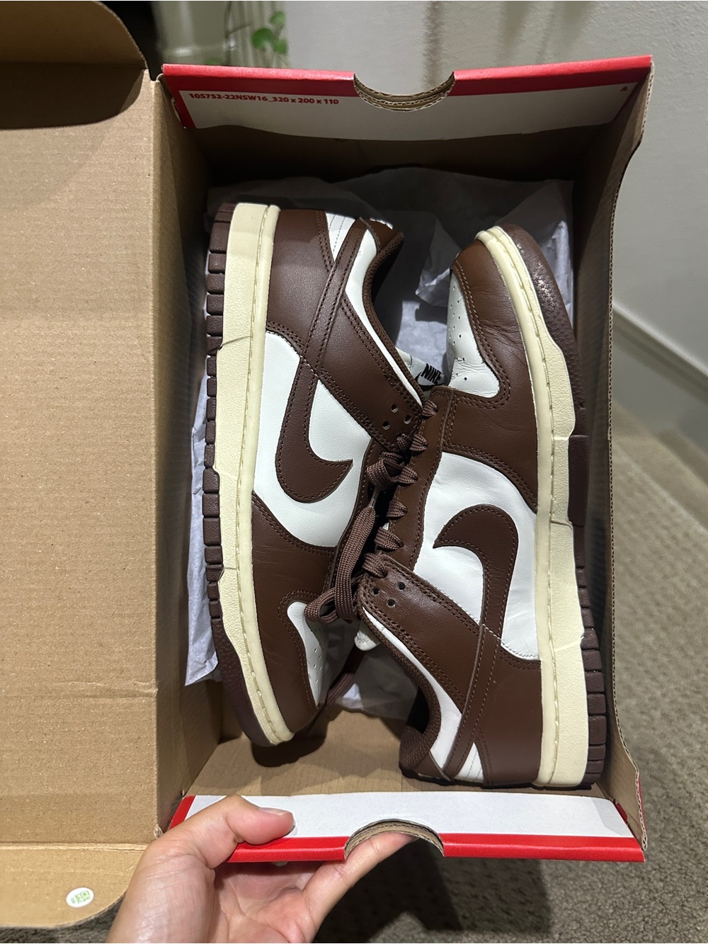 Nike Brown and White Dunk Low